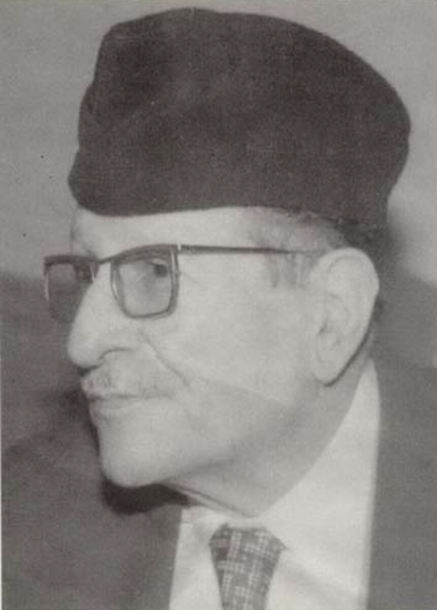 Ali el-Verdi